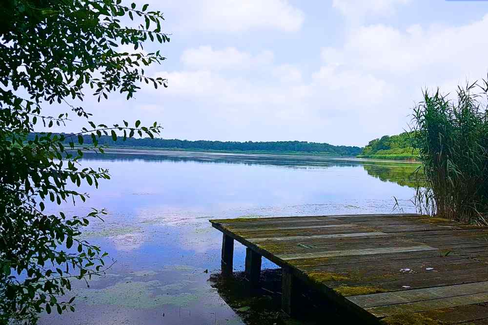 Réserve Naturelle de l'Étang de la Horre