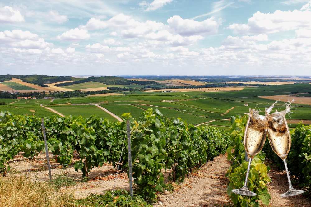 La Route touristique du Champagne